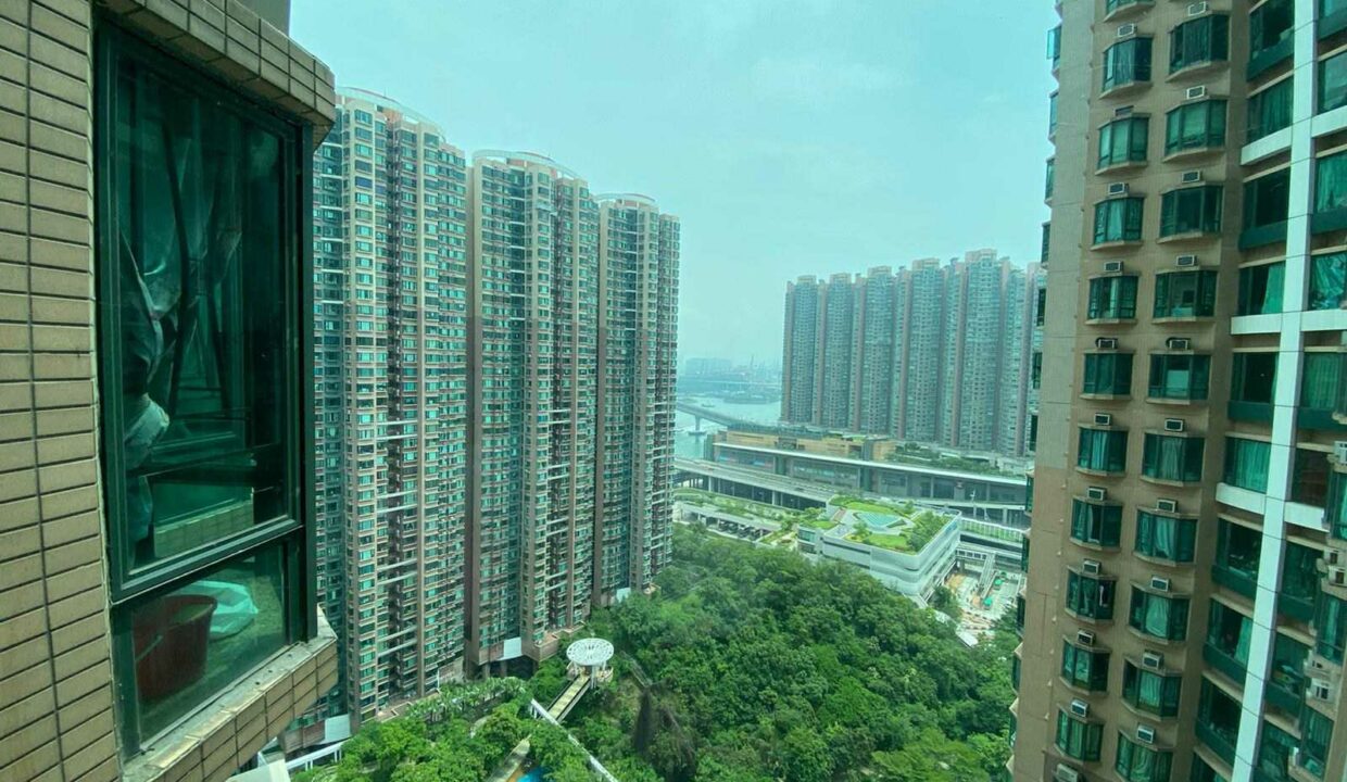 126ae950a74856d42ec74954c377173c