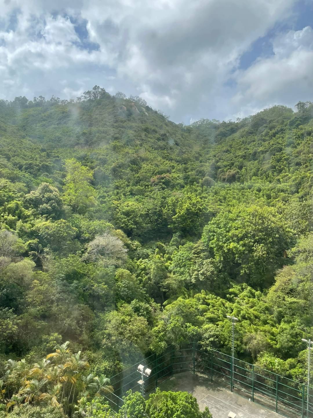 美景花園低層 開揚山景  兩房 日內必走 企理可約睇