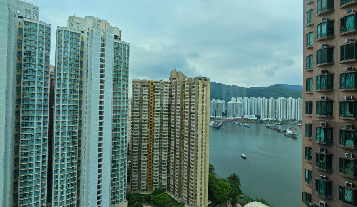 560c061c-46ca-42f0-bb72-2a0f57262c58.jpeg