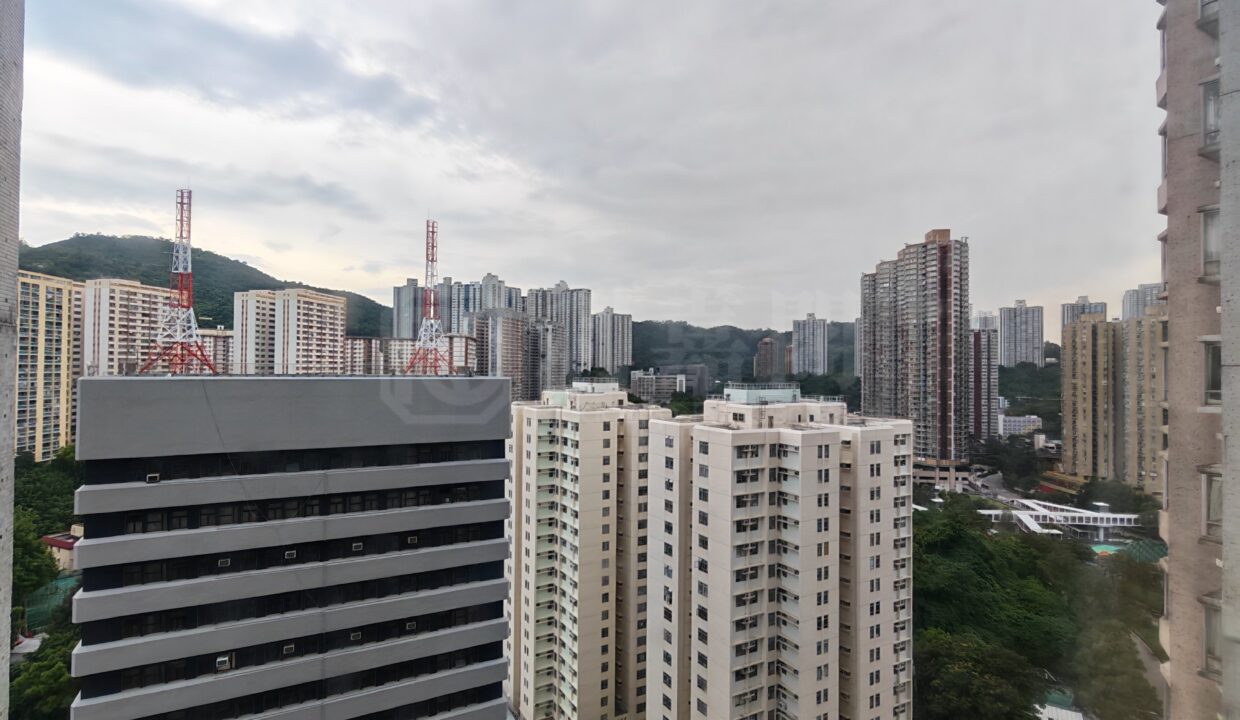 a8555357-5d00-4a45-a214-88e13906fbfc.jpeg