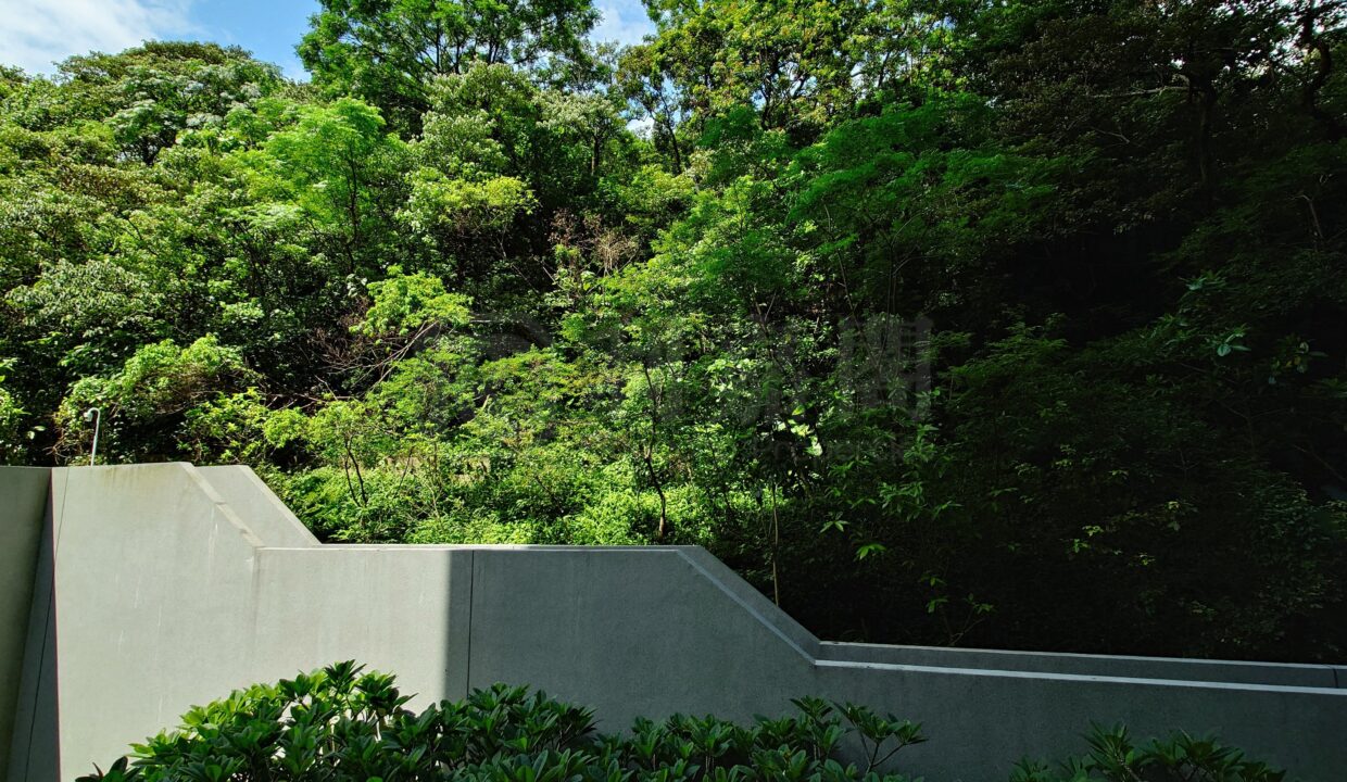 da743a84-eb81-4822-8b52-4500d17820c0.jpeg