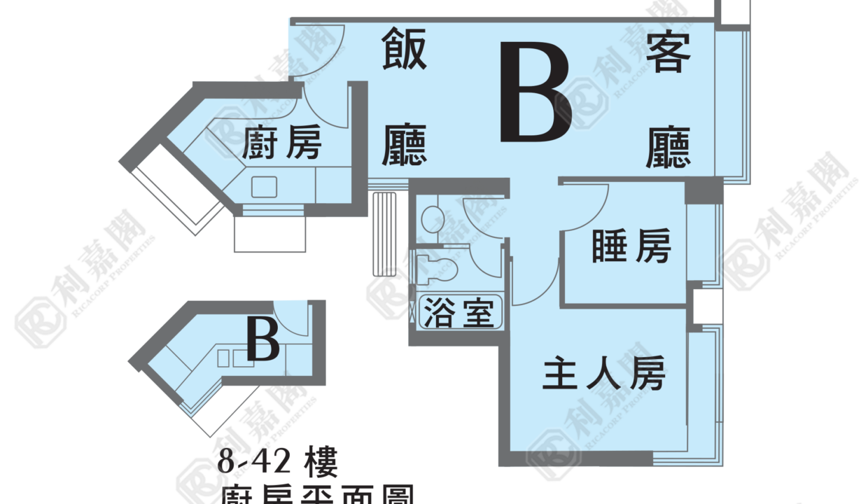 21831_2000_Ricacorp.png