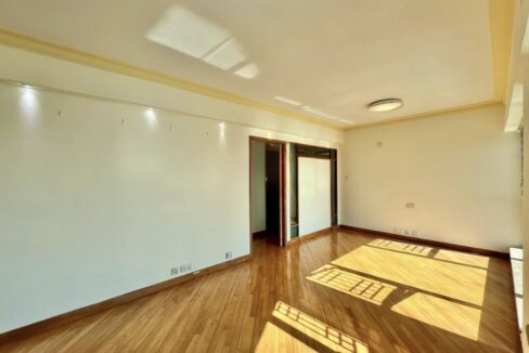 202602061958162441911_large