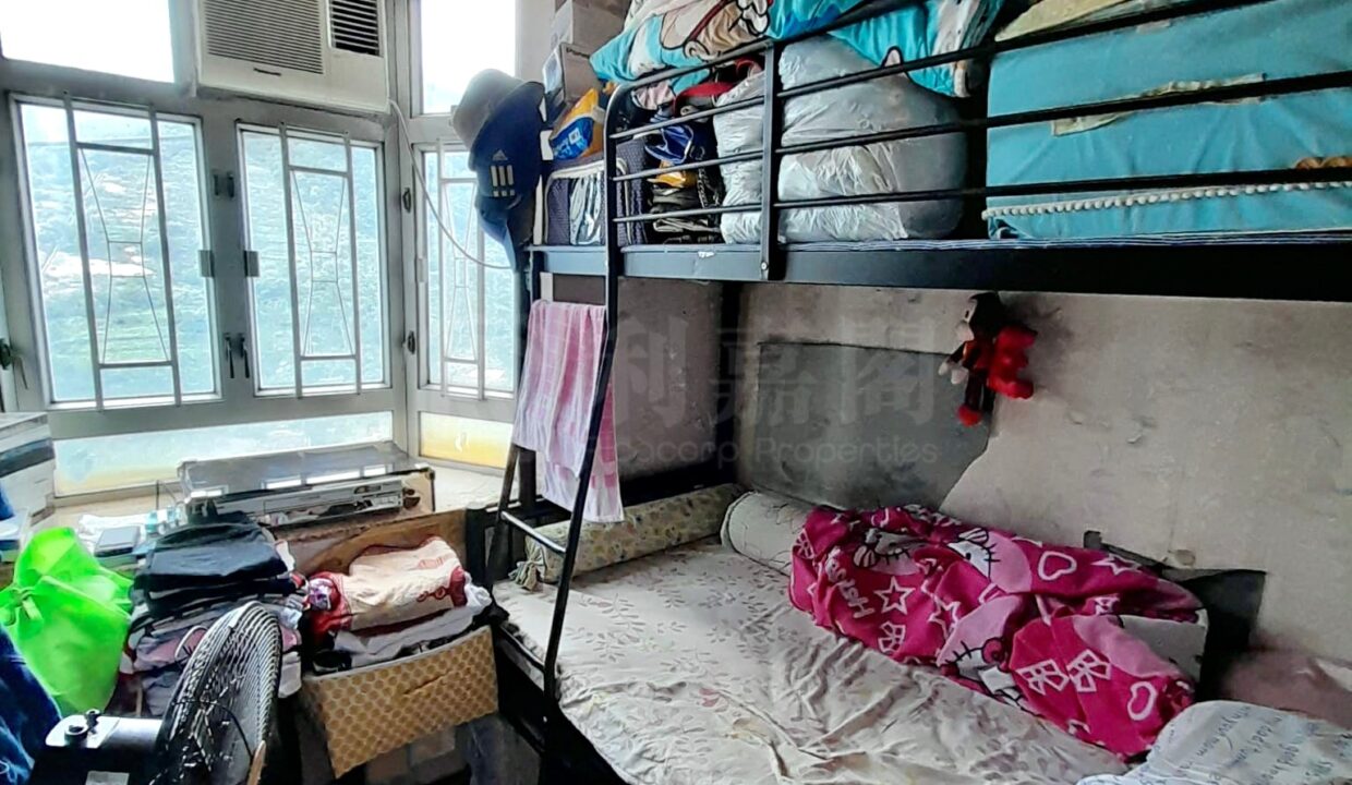 0323efef-6f05-478d-a781-4d3a4b07af15.jpeg