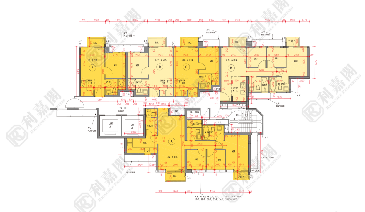 109652_2000_Ricacorp-3.png