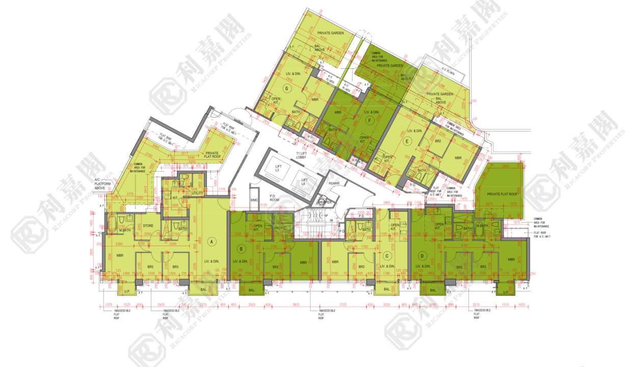 109684_2000_Ricacorp-5.png