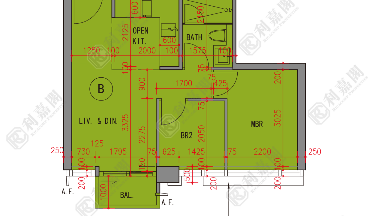 112411_2000_Ricacorp-2.png