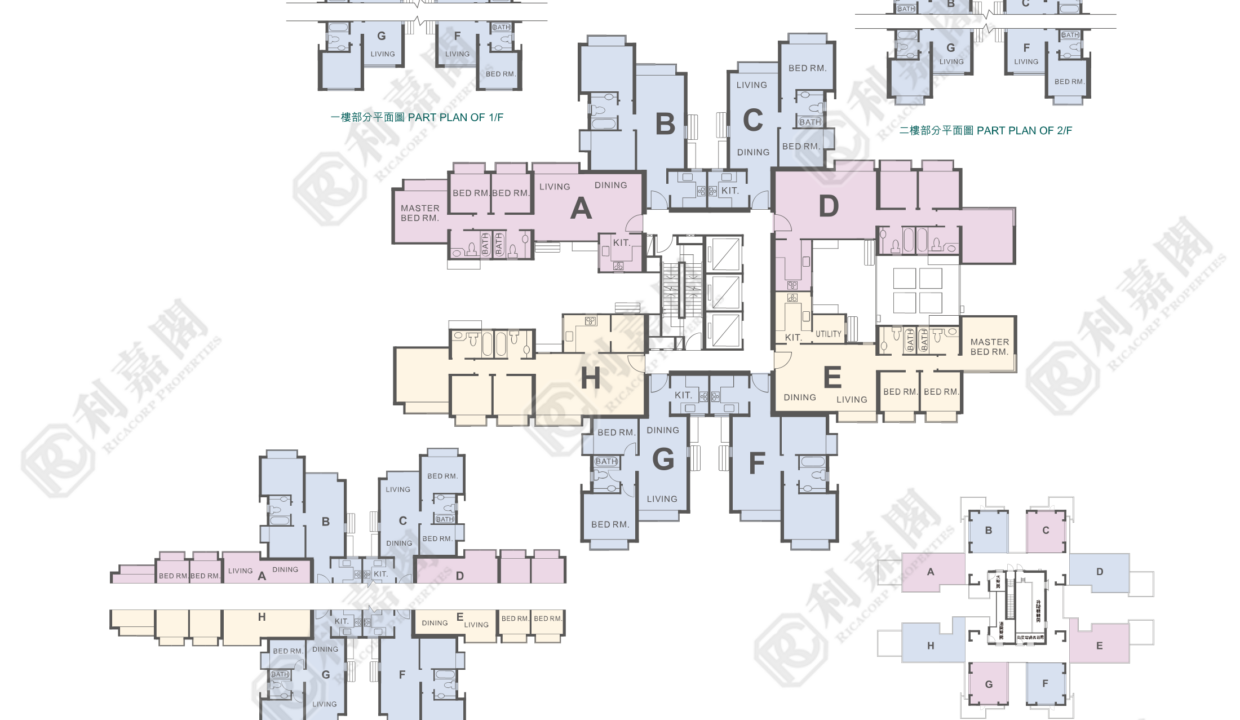 117978_2000_Ricacorp-4.png