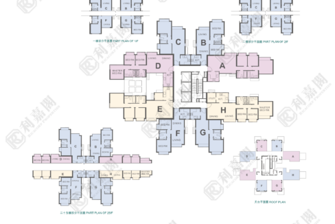 117979_2000_Ricacorp-1.png