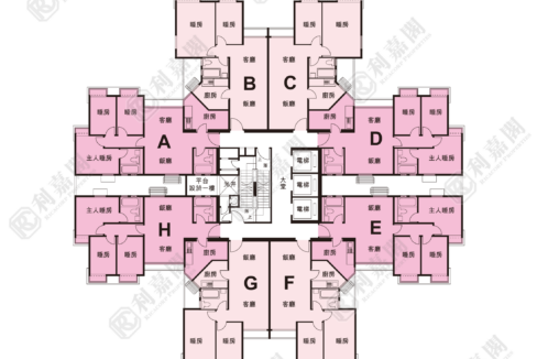 118290_2000_Ricacorp-1.png