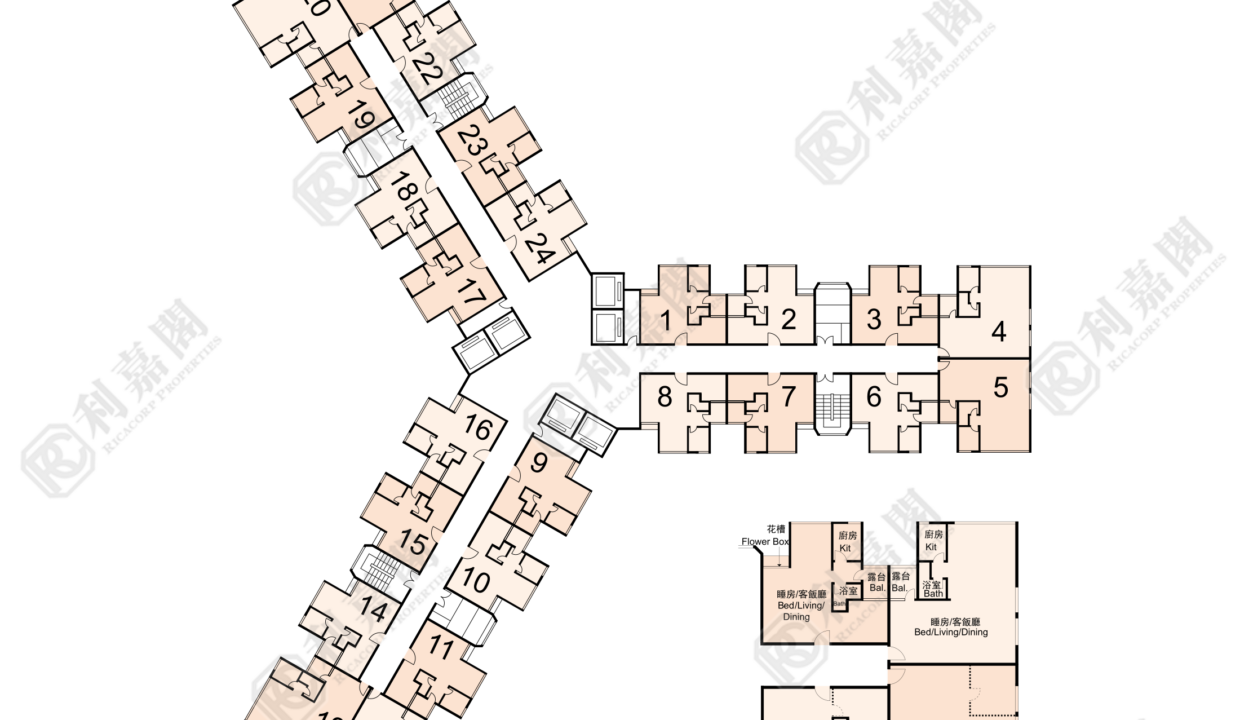 118547_2000_Ricacorp-4.png