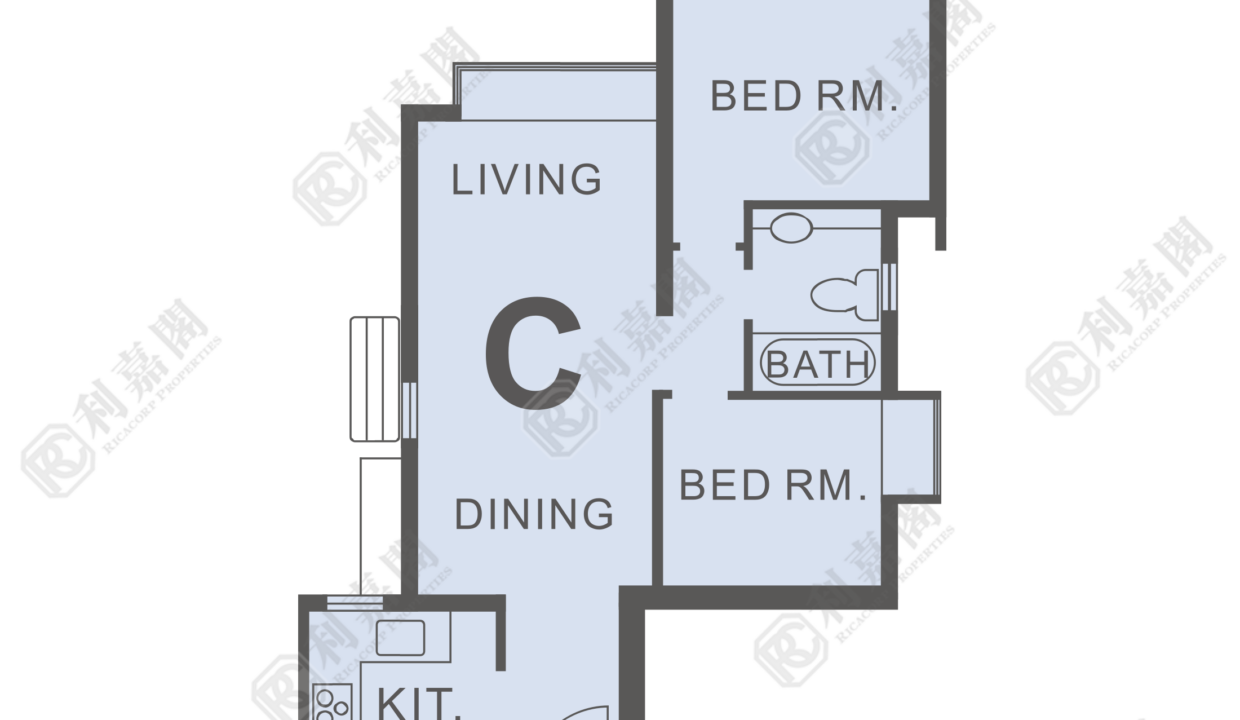 119058_2000_Ricacorp-1.png