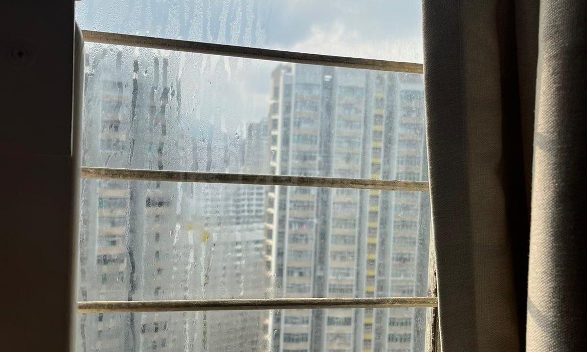 12c8e3a6-27eb-4657-8f75-c8d01516a484.jpeg