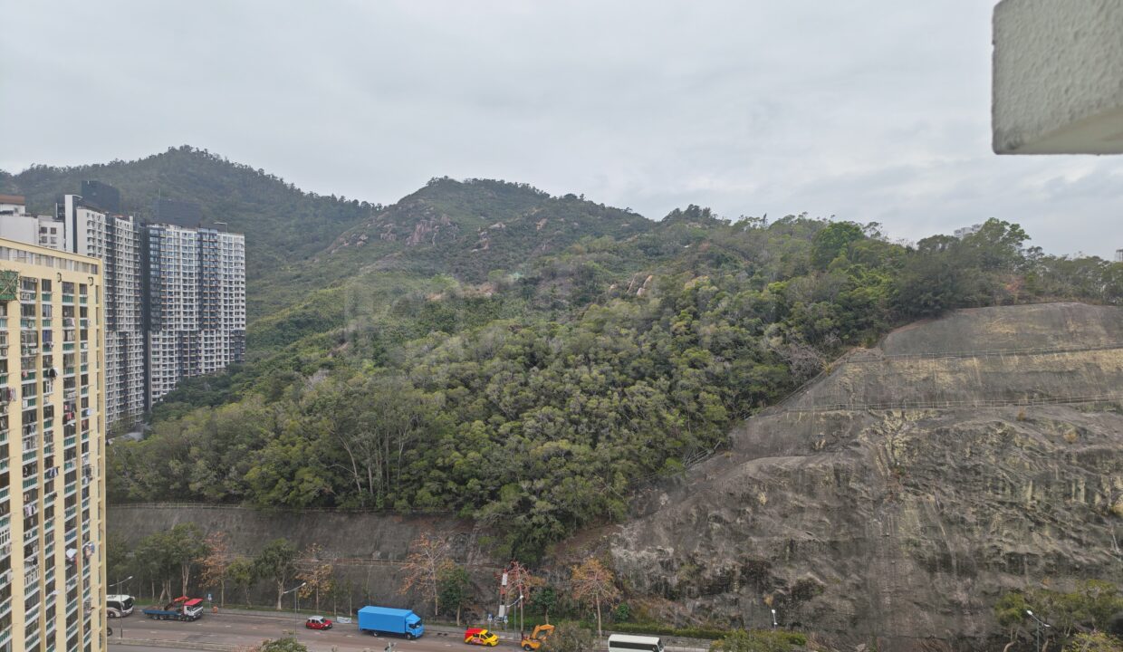 14371358-cc30-468d-8a35-2fc574cf1c08-3.jpeg