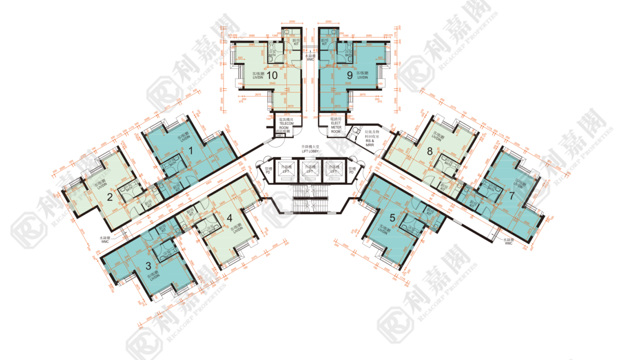 144223_2000_Ricacorp.png