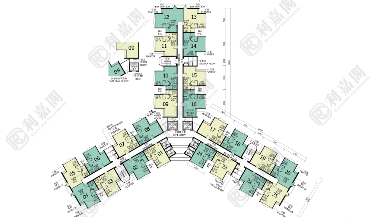 155226_2000_Ricacorp-1.png