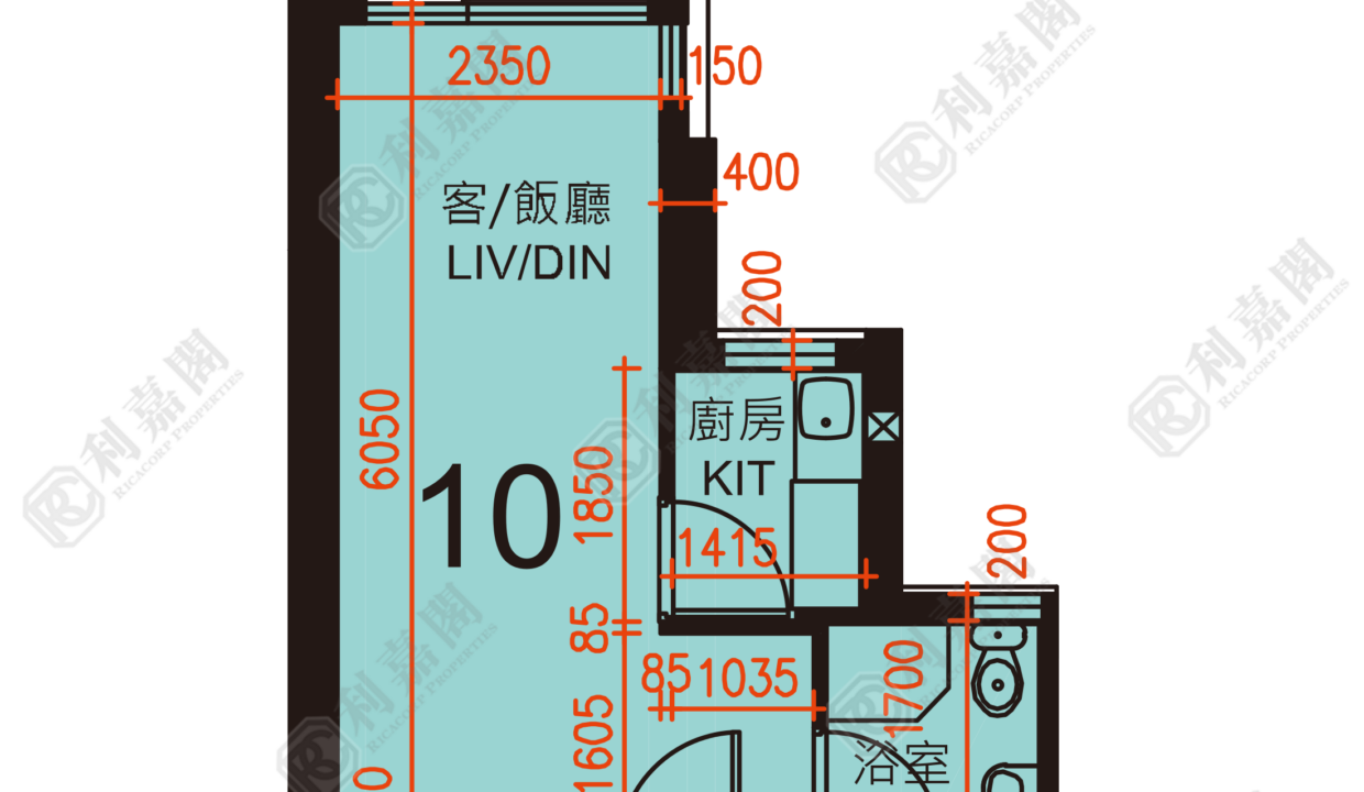 163162_2000_Ricacorp.png