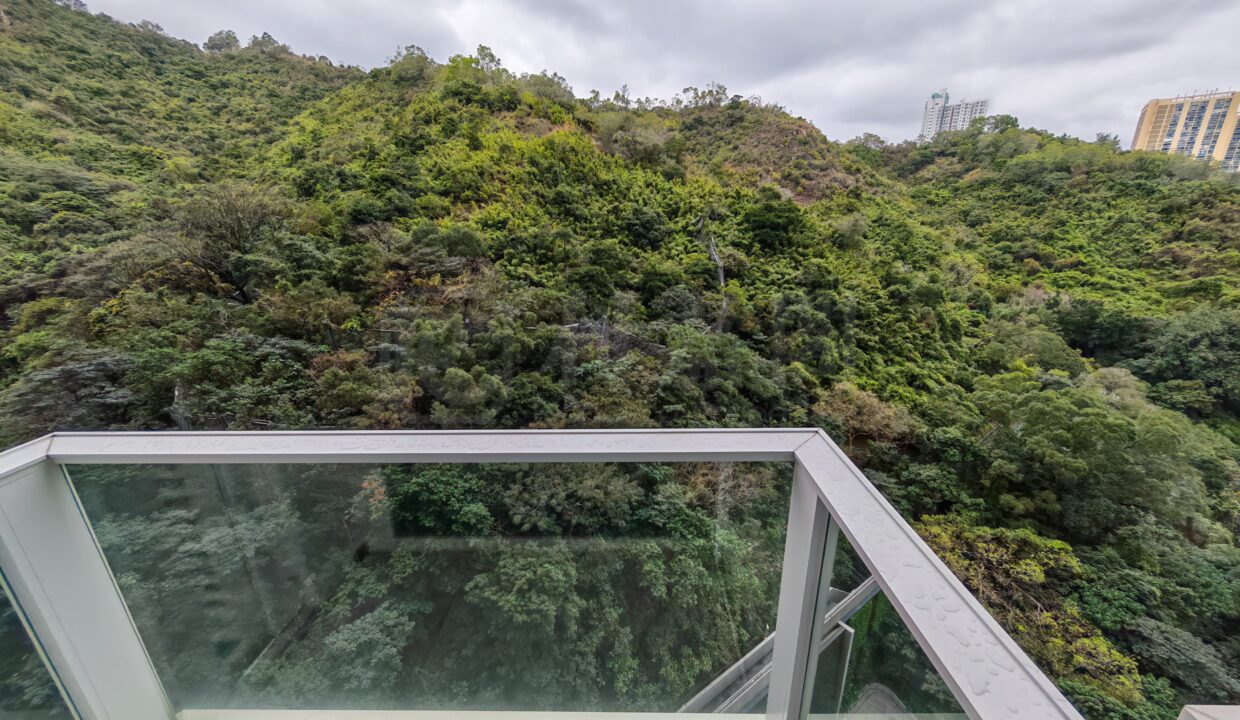16626285-9e11-4c02-989f-d5052a07c7dc-1.jpeg