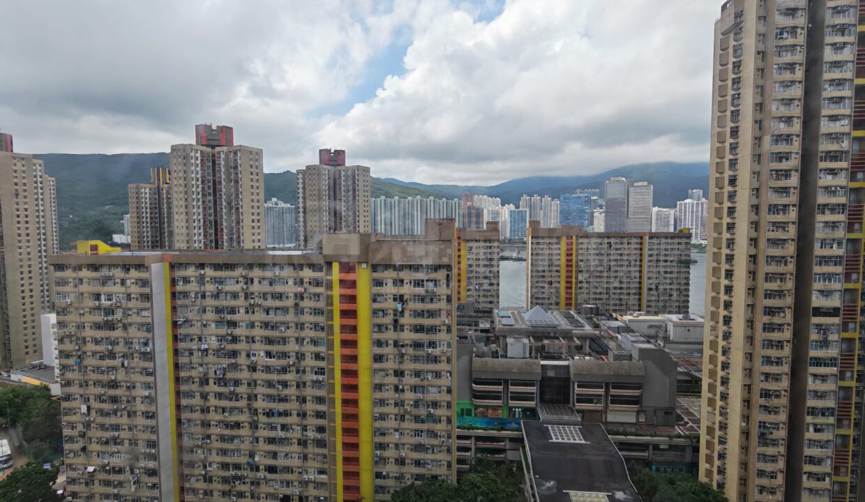 16bd4a64-2921-4103-b037-ff9882a4ad42.jpeg