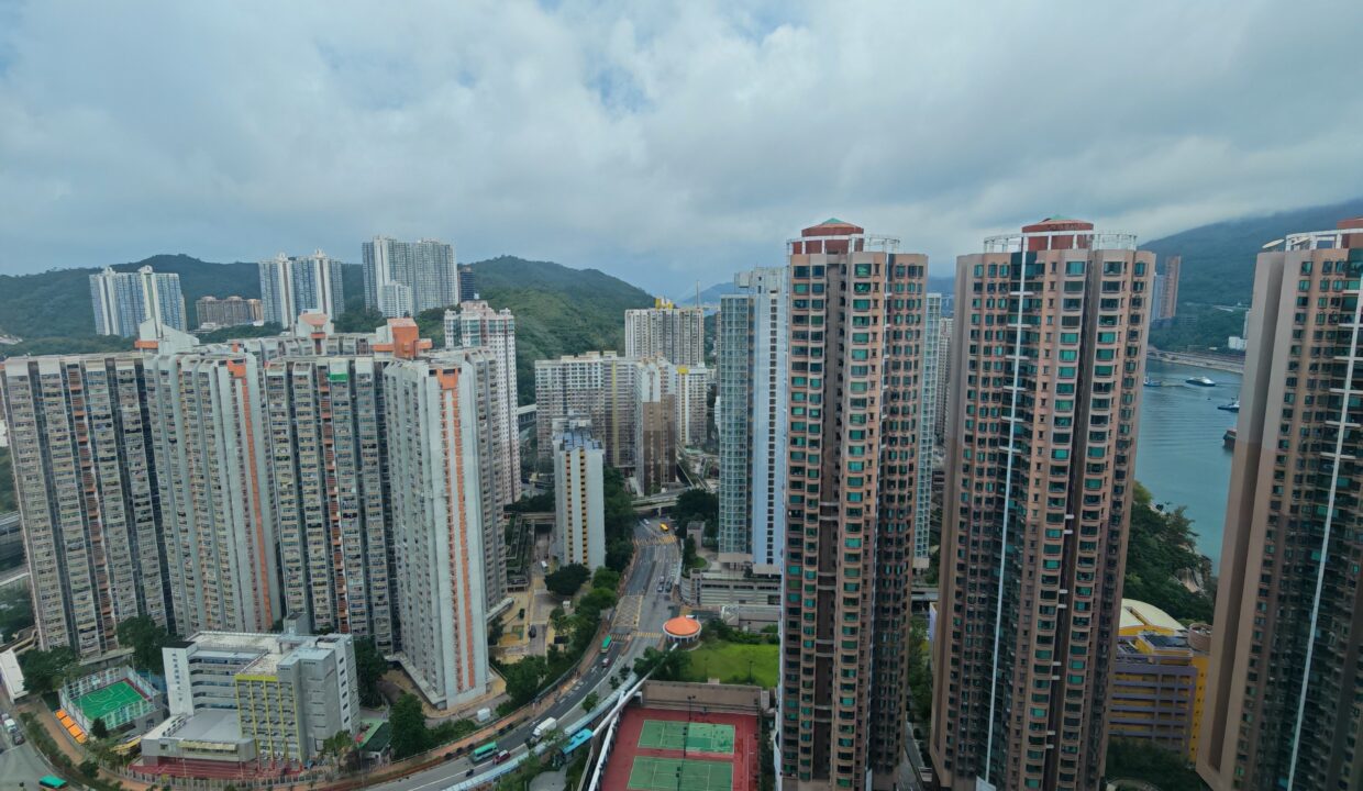 16d81955-d0a8-4d2b-8558-ba583bcc5b37.jpeg