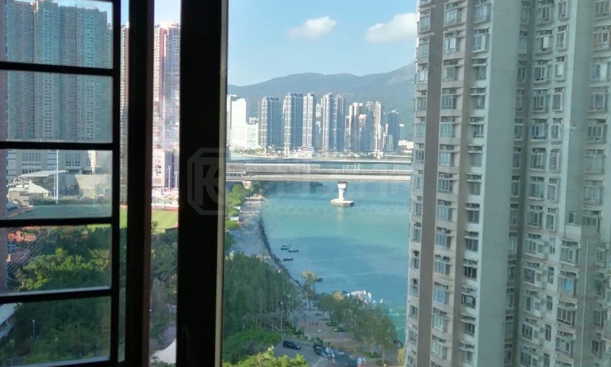 17302d73-edff-4207-9042-bbd7c2b5a7db.jpeg