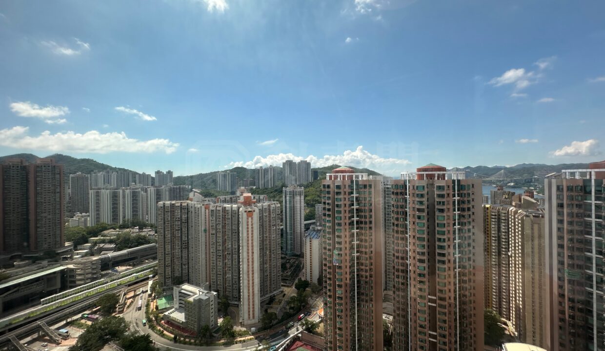 1e533a2f-06e4-4244-b303-606bcdfdfe64-1.jpeg