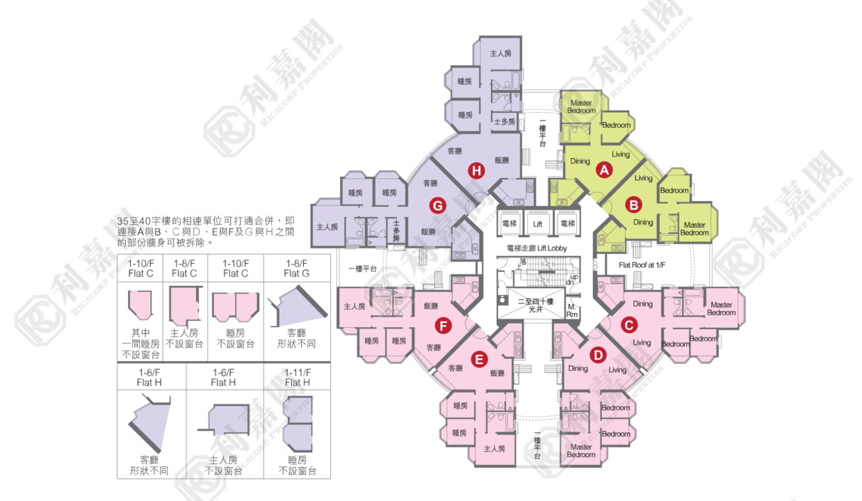 20497_2000_Ricacorp-5.png