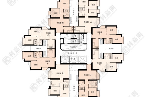 21120_2000_Ricacorp.png