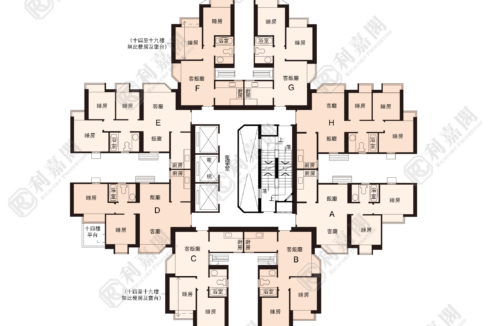 21129_2000_Ricacorp-2.png