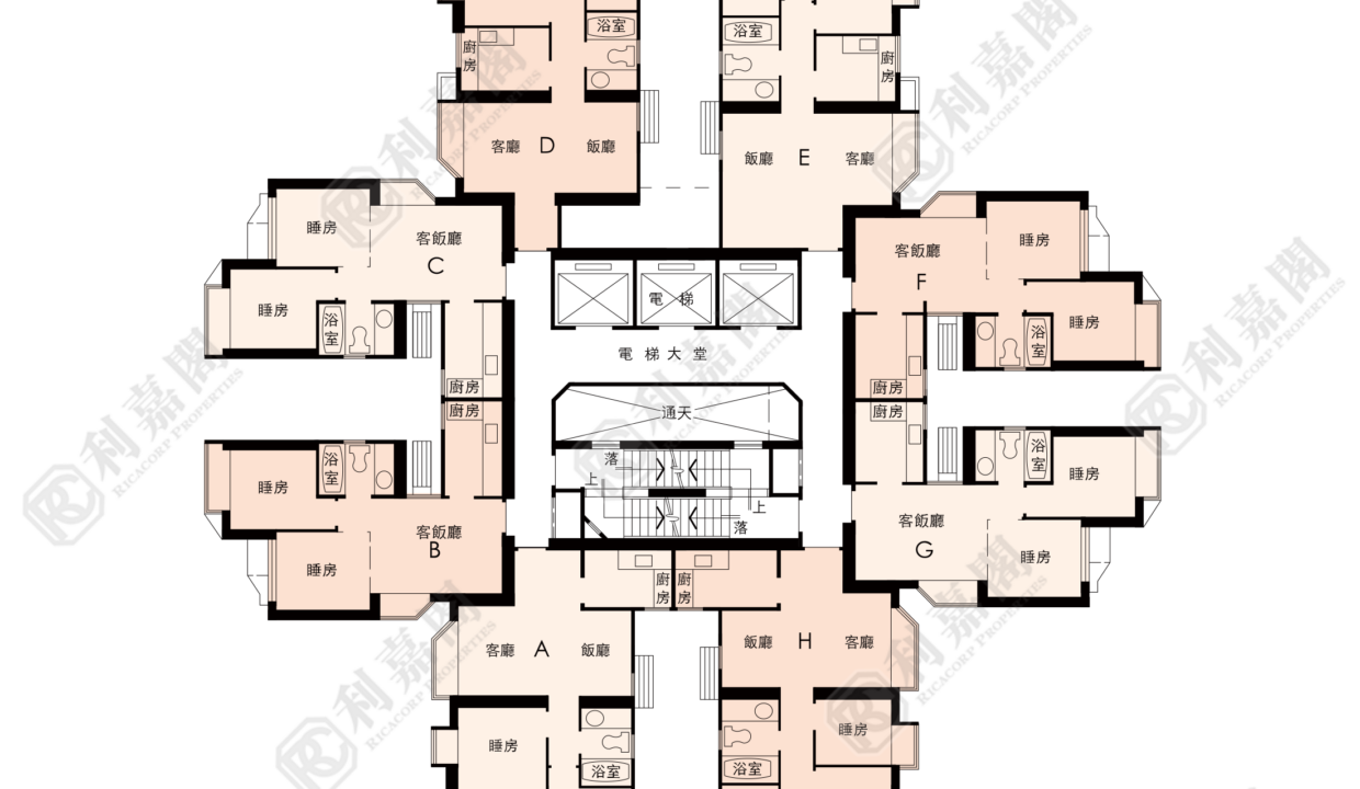 21138_2000_Ricacorp-1.png