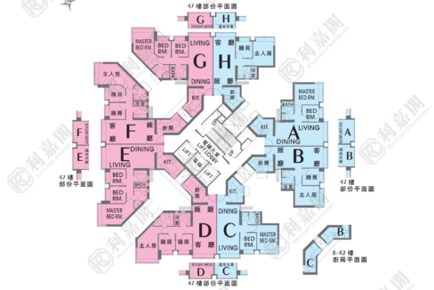 21151_2000_Ricacorp.png