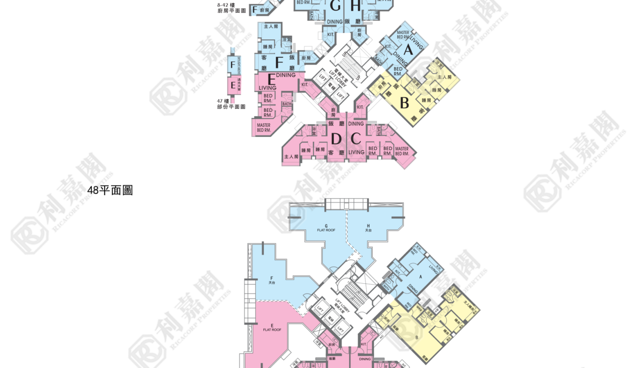 21155_2000_Ricacorp-3.png