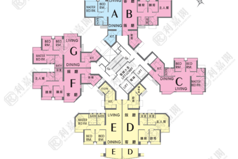 21158_2000_Ricacorp.png