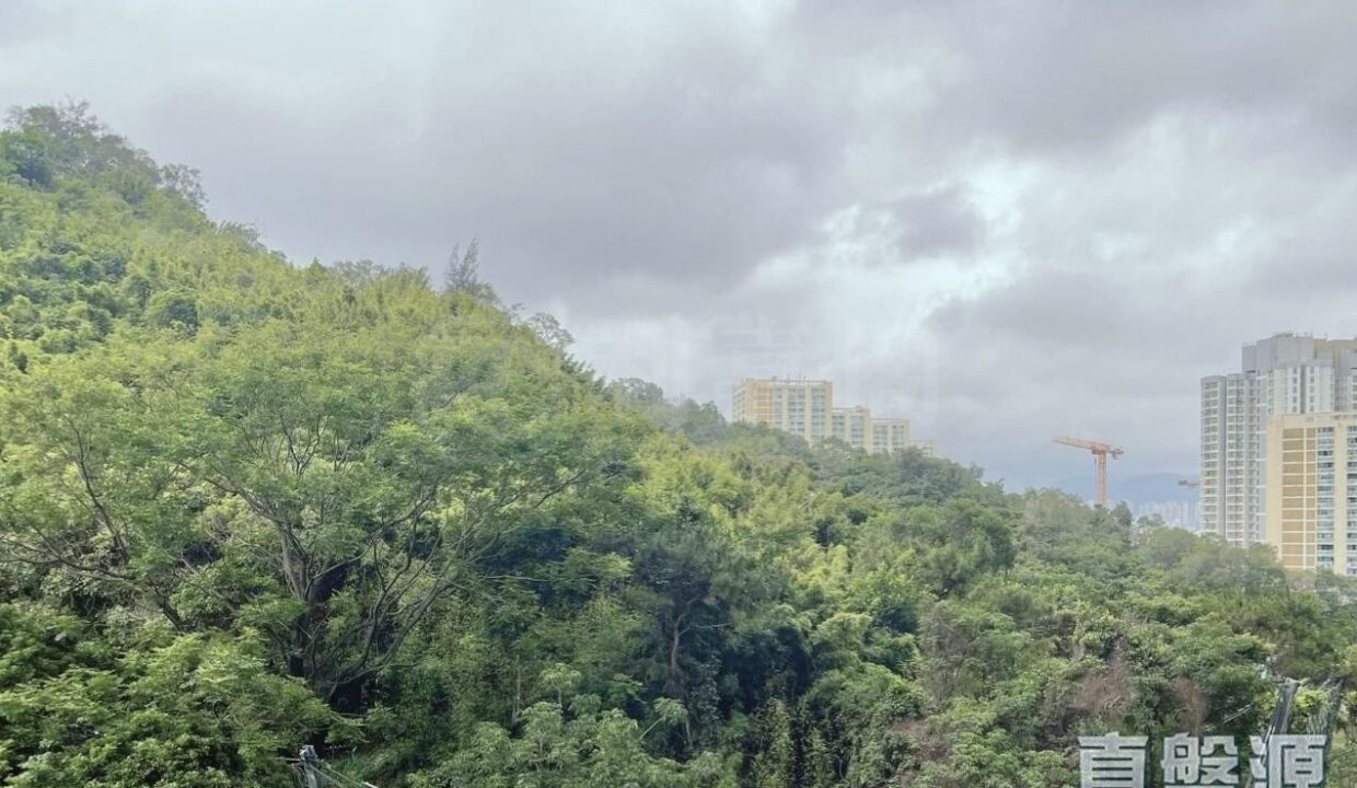 21d4e596-84eb-4c0f-ac77-6bc1b5df3375.jpeg