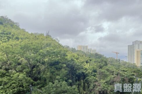 21d4e596-84eb-4c0f-ac77-6bc1b5df3375.jpeg