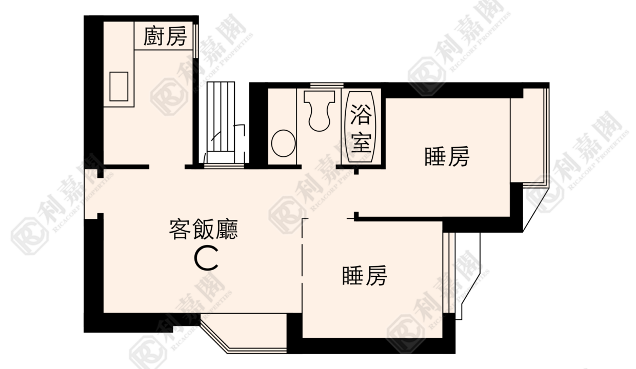 24867_2000_Ricacorp-1.png