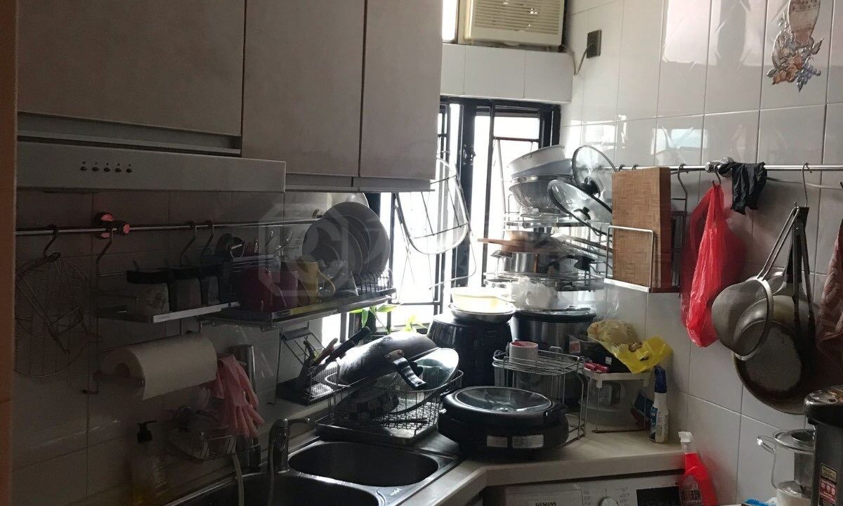29039913-82af-4860-91b6-a8d268325fce.jpeg