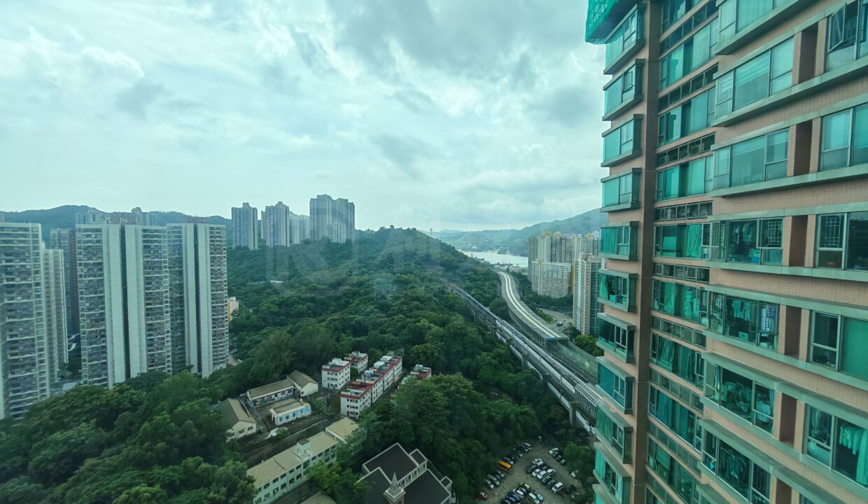 2e946e90-e2f6-4a07-80dc-2e537bdb1713.jpeg