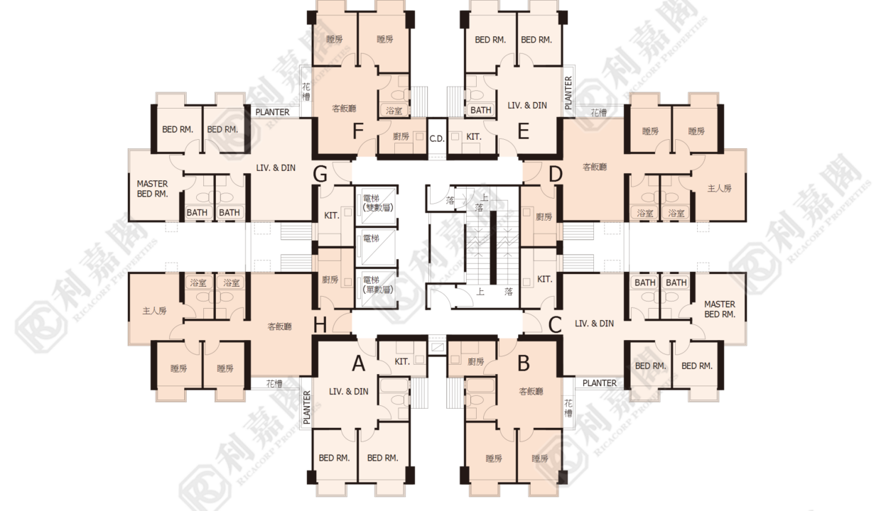 38828_2000_Ricacorp-24.png