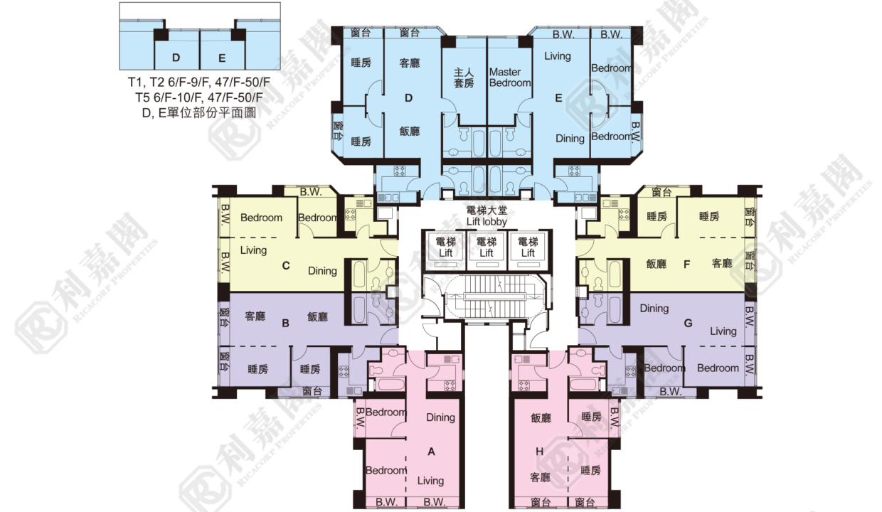 40128_2000_Ricacorp-9.png
