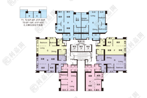 40128_2000_Ricacorp-9.png