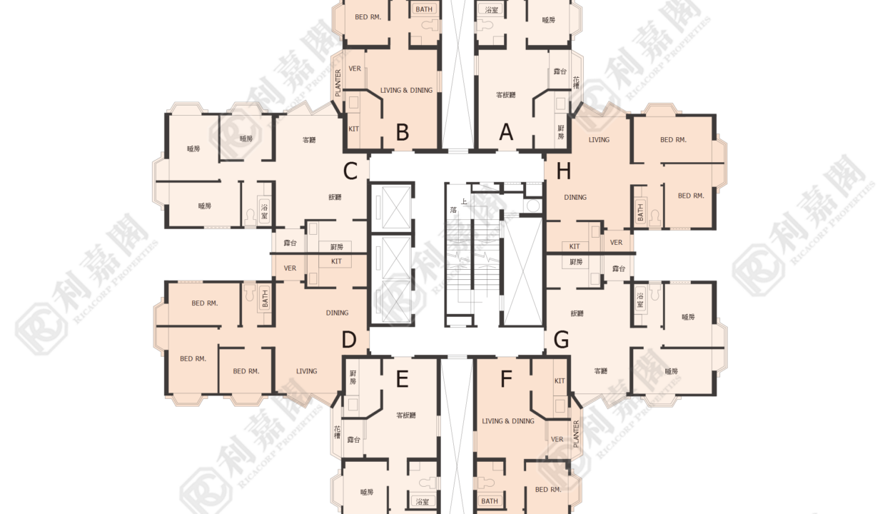 40248_2000_Ricacorp-5.png