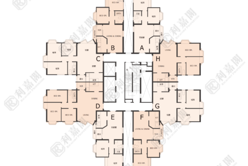 40248_2000_Ricacorp-8.png