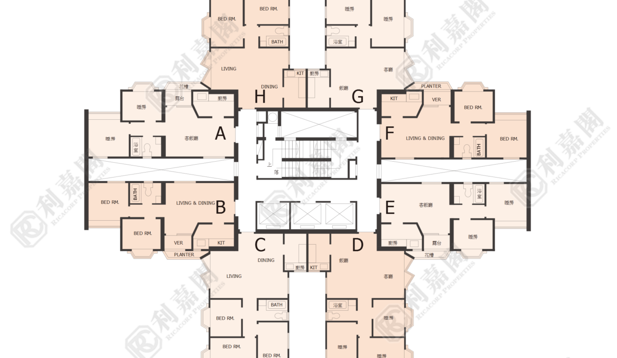 40249_2000_Ricacorp.png