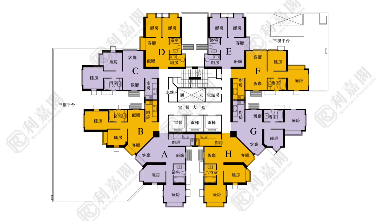 40405_2000_Ricacorp-2.png