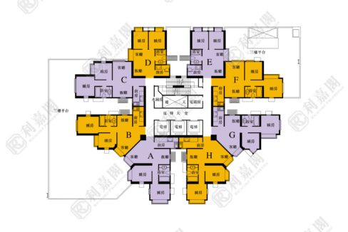 40405_2000_Ricacorp-3.png