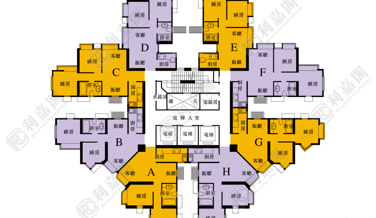 40406_2000_Ricacorp-1.png