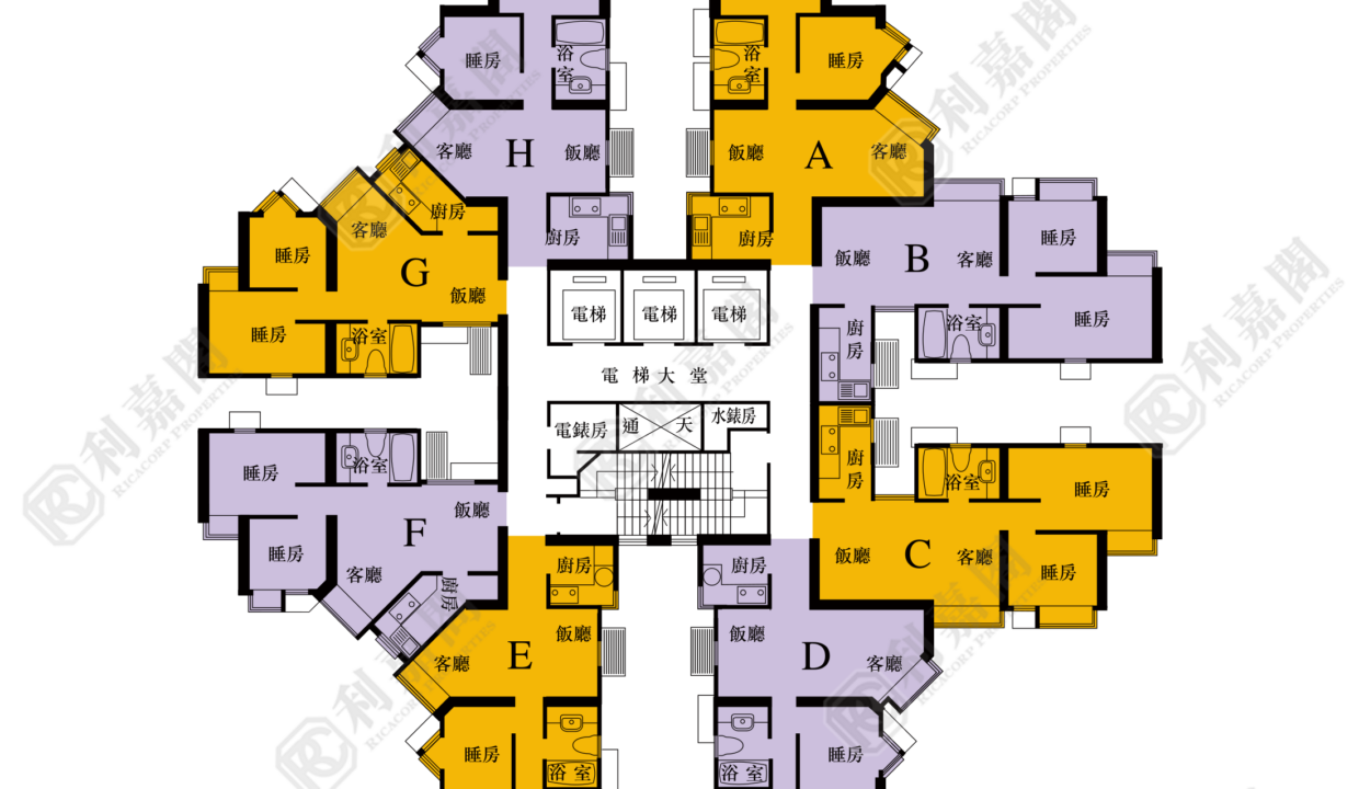 40407_2000_Ricacorp-2.png