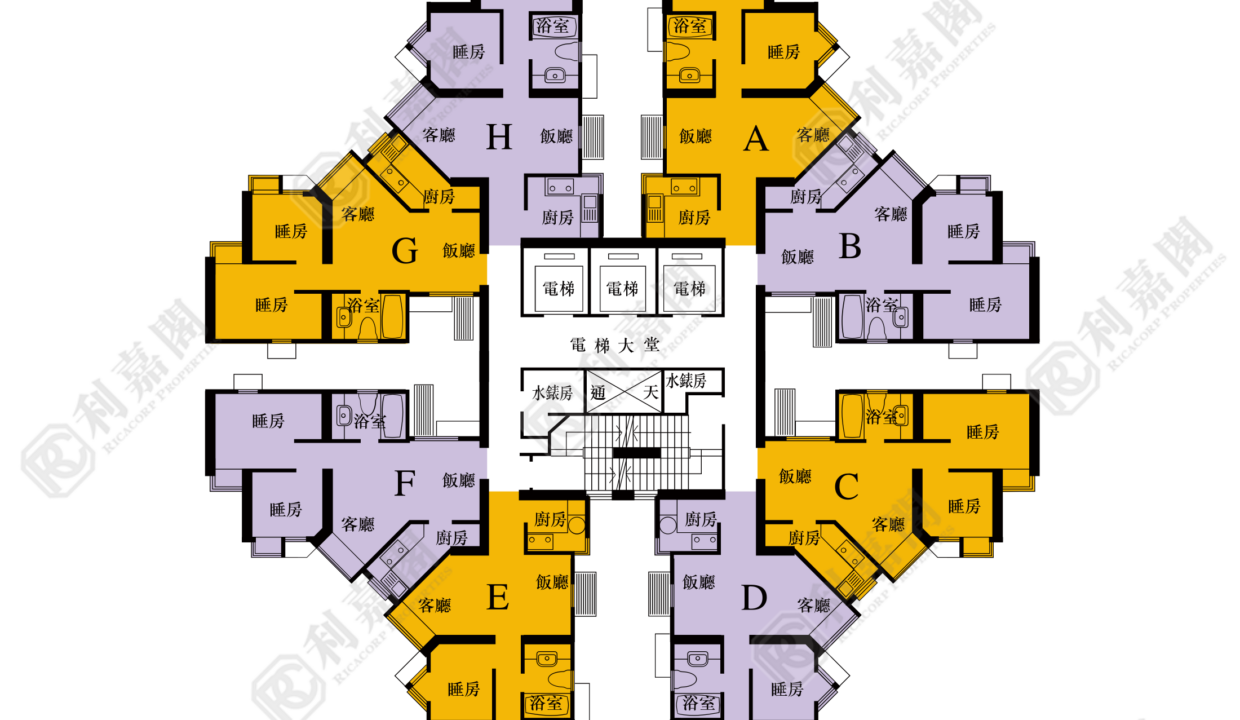 40408_2000_Ricacorp-5.png