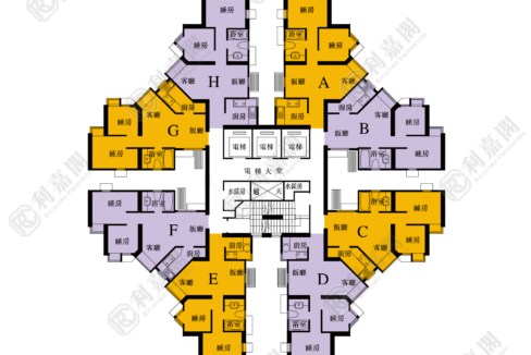 40408_2000_Ricacorp-5.png